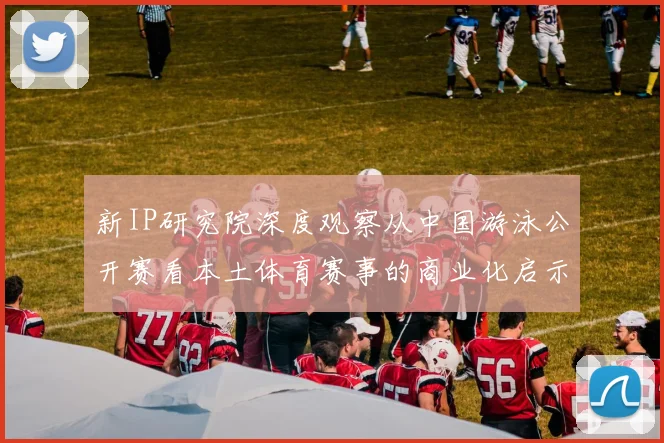 新IP研究院深度观察从中国游泳公开赛看本土体育赛事的商业化启示