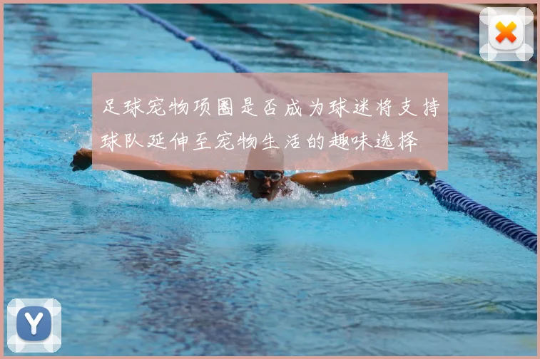 足球宠物项圈是否成为球迷将支持球队延伸至宠物生活的趣味选择