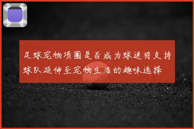 足球宠物项圈是否成为球迷将支持球队延伸至宠物生活的趣味选择